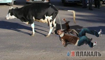 Фотожаба: Дима Билан