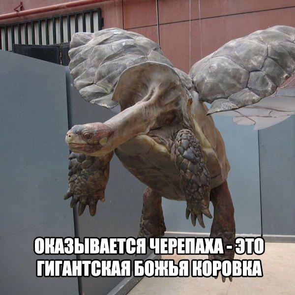 Картинки разные 2