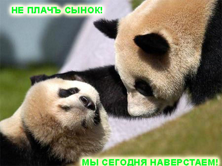 Уже да :) Ужо пятнецца...