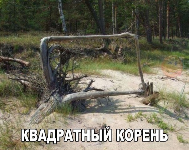 Соцсети - и смех и грех
