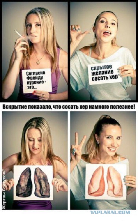 Картинки из ваших интернетов, 18+