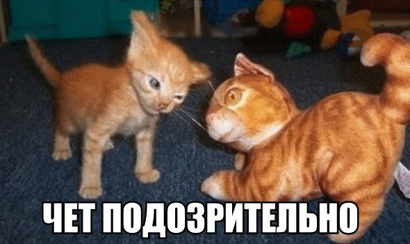 Подборка картинок