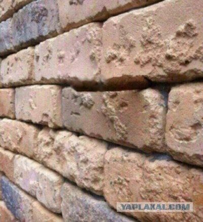 Найдите лишний предмет на фото