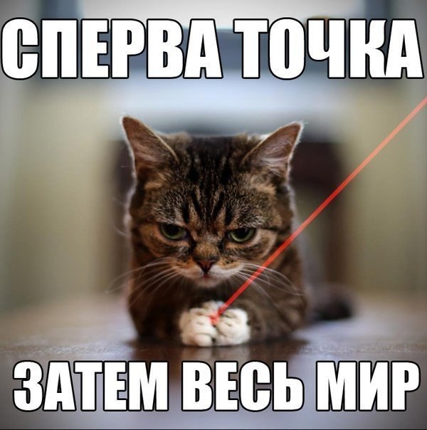 Мохнатые беспредельщики