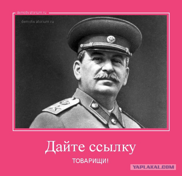 "Вот так детки!". школьник из Заволжья опубликовал в соцсети обнаженные фото 8-классницы