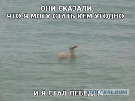 Несколько фоток