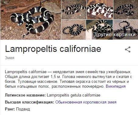 "Извини, но ты останешься снаружи"