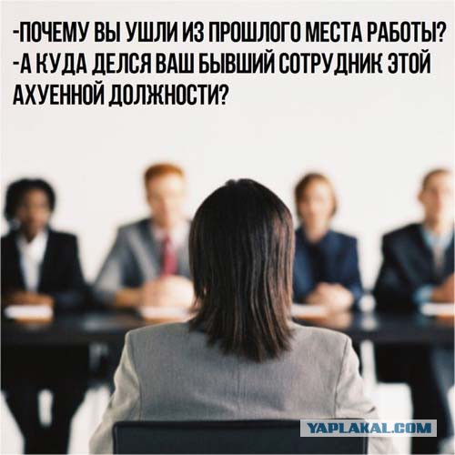 Самое честное собеседование