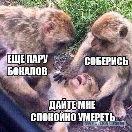 Подборка интересных и веселых картинок