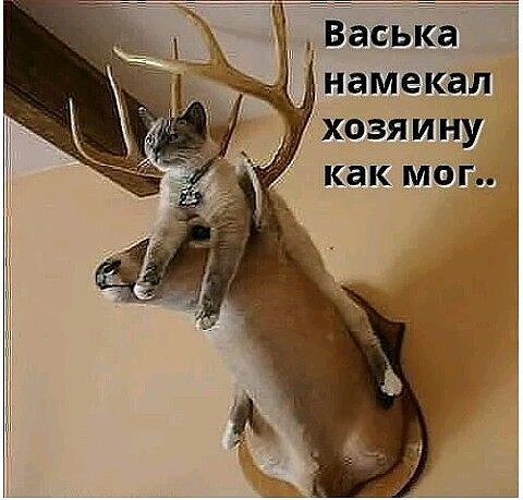 Поржать-погрустить-задуматься картинок пост