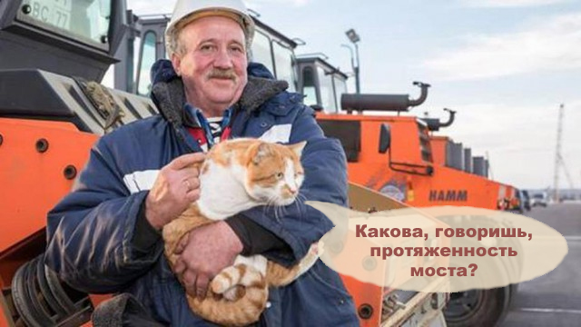 Строители  пустят  кота  пройти  по  Крымскому  мосту.