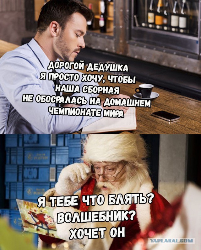 Беседка ФиС ЯПа 2