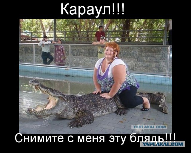 Чешите меня полностью