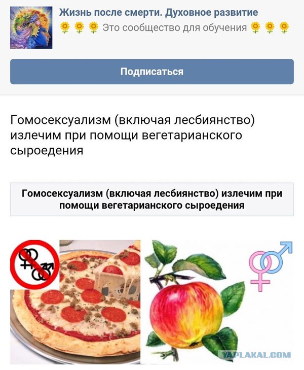 Веган-активистка потребовала в пиццерии веганскую пиццу. У Буратино, с тремя корочками хлеба, появилась достойная альтернатива
