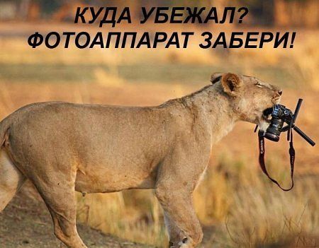 Безумные фотографы-новички, которые заставят вас плакать от смеха