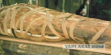Угадайки