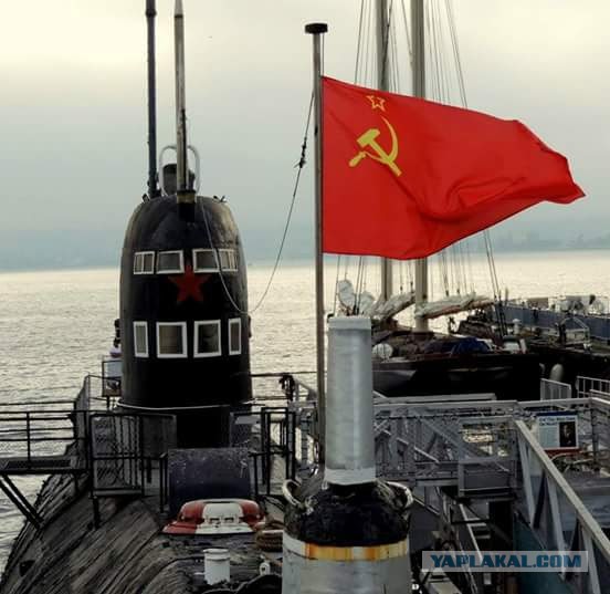 Из Саратова в Калифорнию. Россиянка о жизни в США