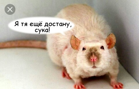 Приключения в Выхино