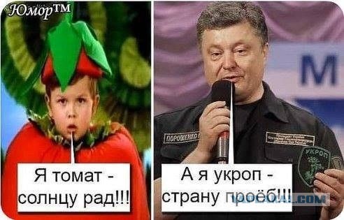 В Верховной раде Украины зарегистрировано постановление о непризнании выборов в Белоруссии