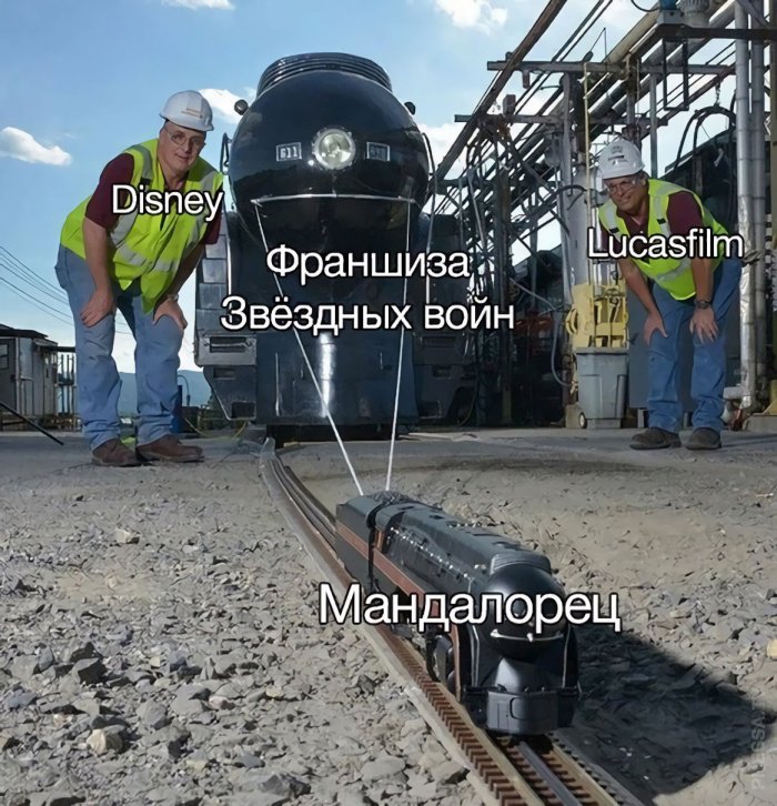 15091880.jpg
