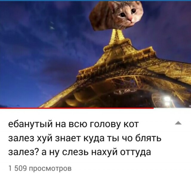 Пикчеслив 16.01.21