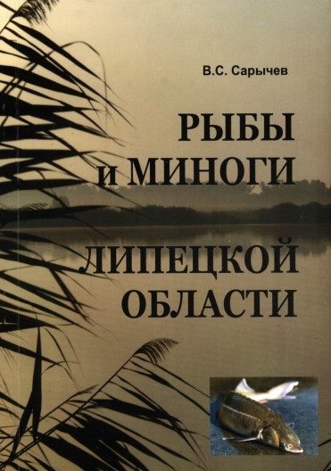 Миноги: Многие серьезно считают, что это рыба, но это не так! Кто же ты, опасный вампир из наших рек?