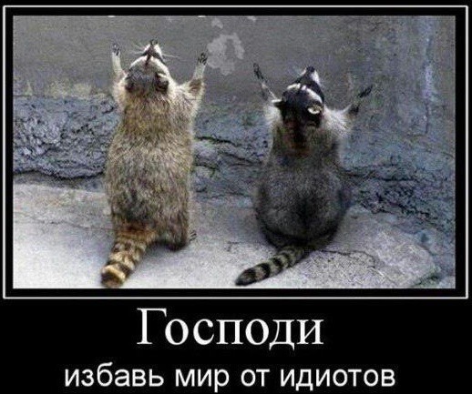 ТруЪ демотиваторы