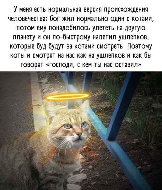 Весёлый полтишок 20.04.22