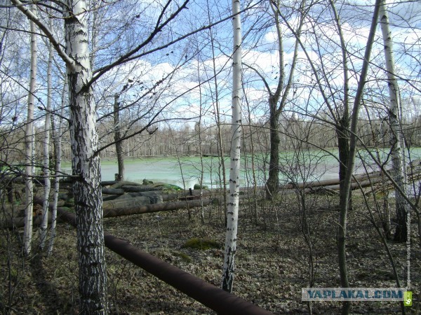 Что бывает с теми, кому больше всех надо.