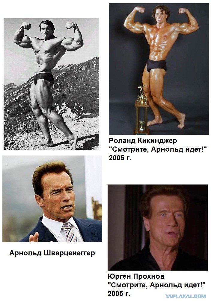 Картинка шварценеггер что ты такое
