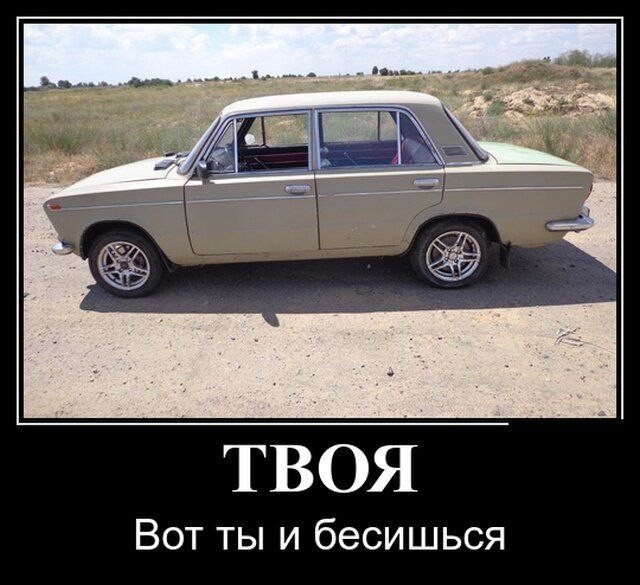 Веселые картинки к маленькой пятнице (23.10)