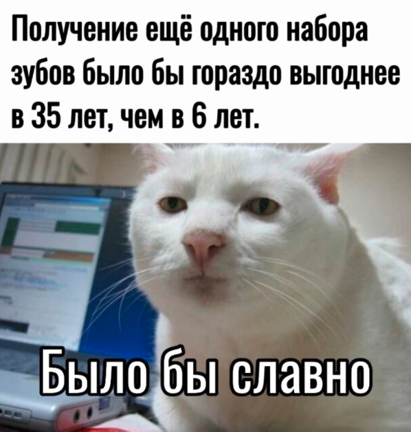 Так себе картинки 25.11.24