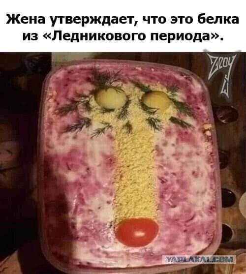 Веселые картинки в понедельник (23.12)