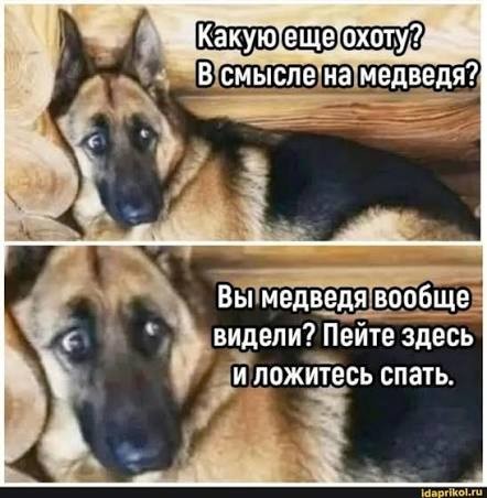 Напряженная охота