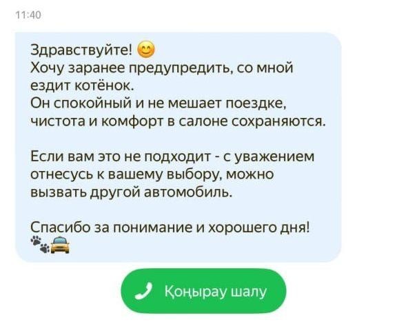 Милоты вам с утра: девушка вызвала такси, а к ней приехал водитель с котёнком