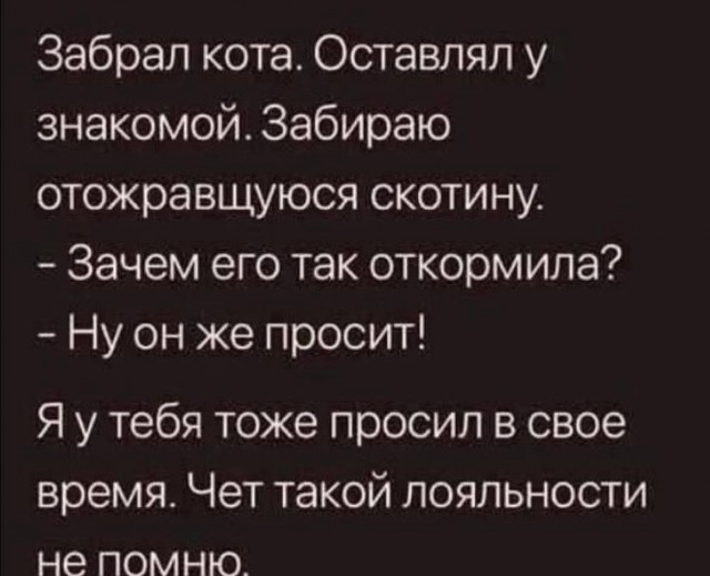 К котовторнику: подборка картинок-баянов с котиками и про котиков. Выпуск 32.