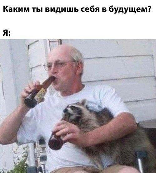 Картинки для деградации 228 (разной степени свежести)