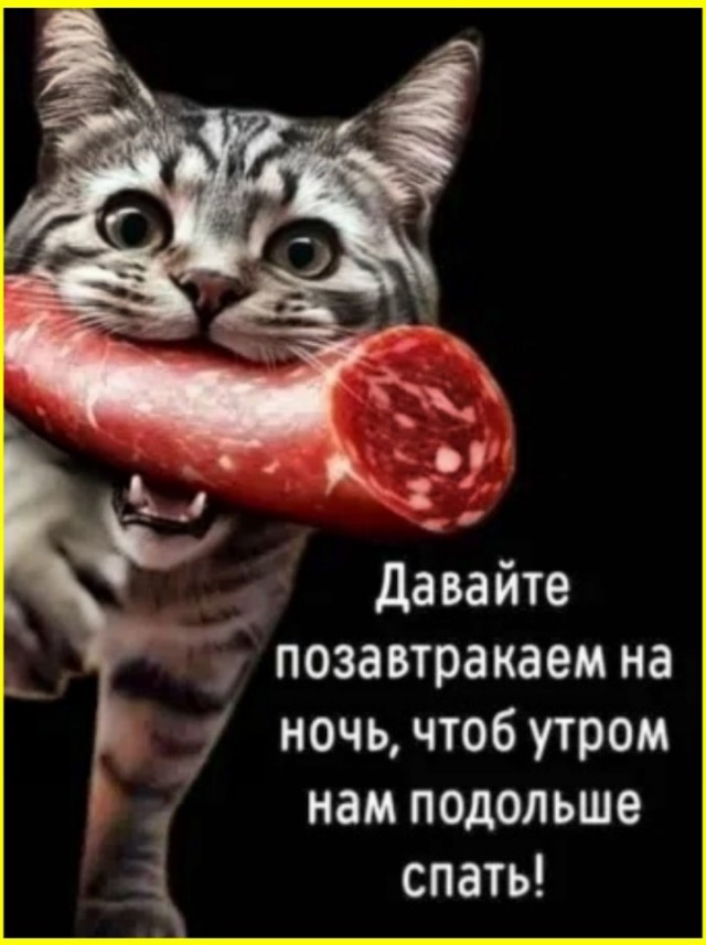 К котовторнику: подборка картинок-баянов с котиками и про котиков. Выпуск 45.