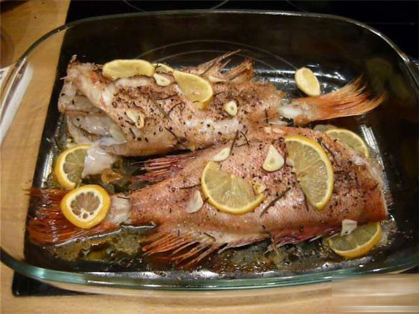 spear module Tuesday b liner snapper recipes wide Aquarium Restless
