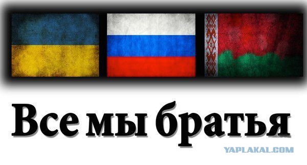 Мнение украинца