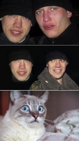 Фотожабы про спасение Барсика