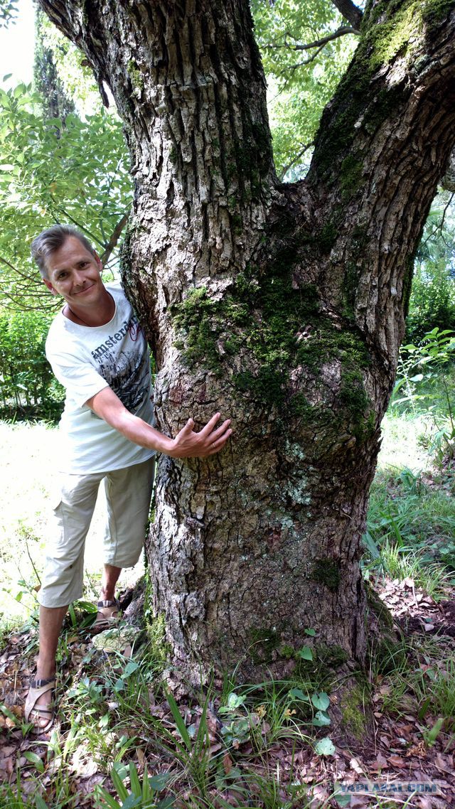 Раскоряка 18+