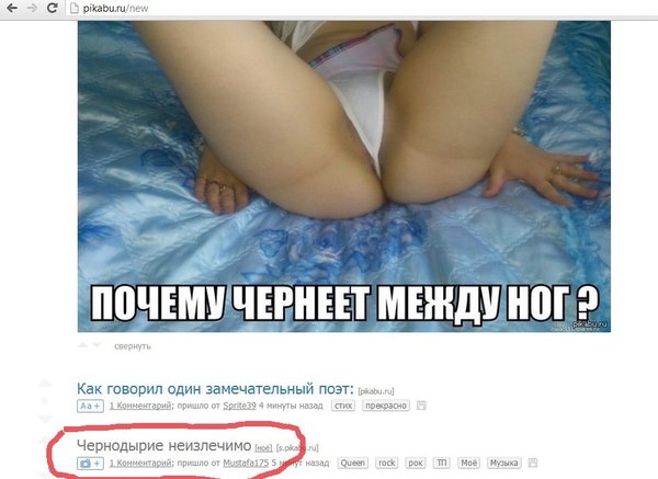 Смешные комментарии из социальных сетей