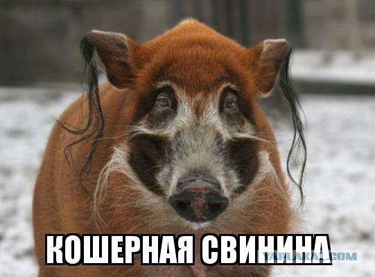Демотиваторы вторника