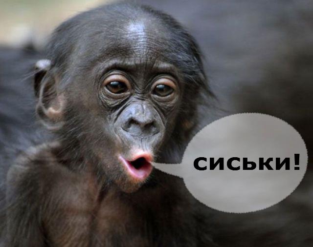 Красивые части тела