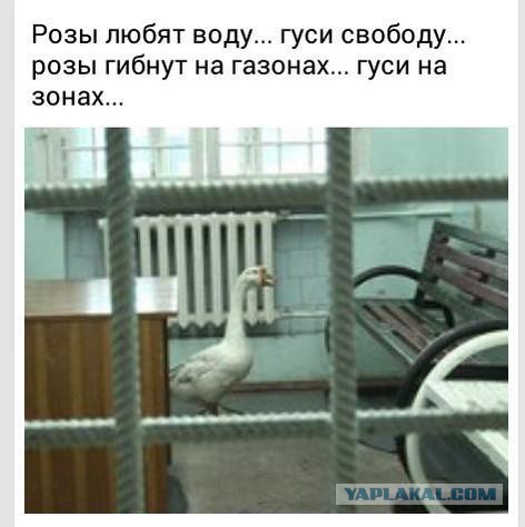Самая опасная тварь на Земле