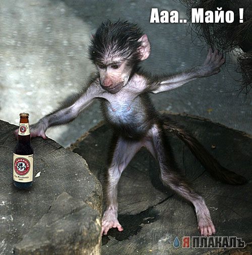 Уже да :) Ужо пятнецца...