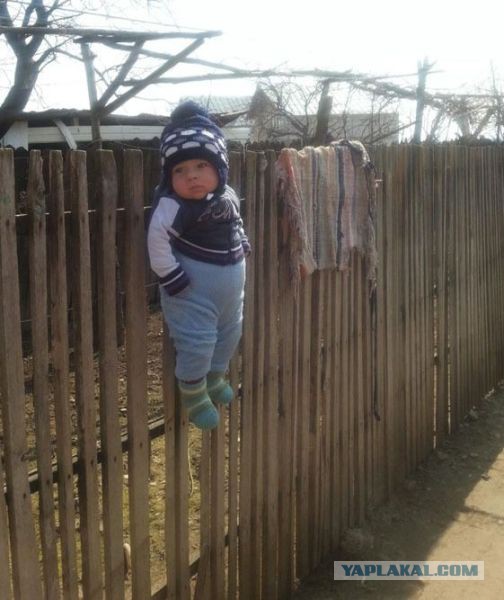 Ох уж эти детки