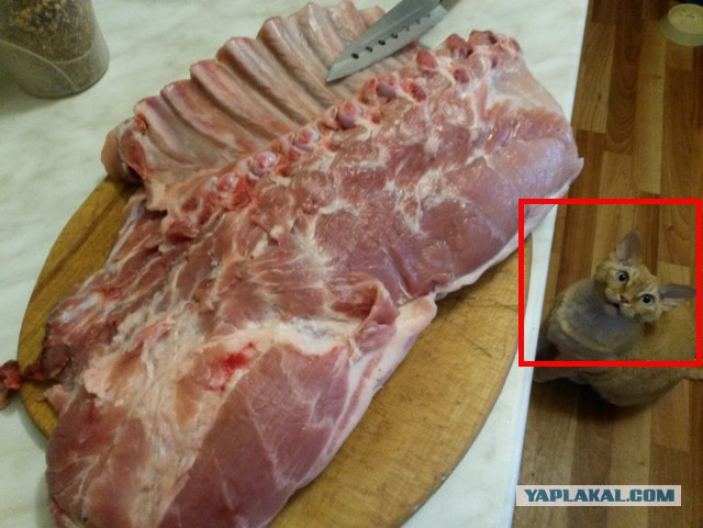 Баранина с картошкой(пирожок) и харчо