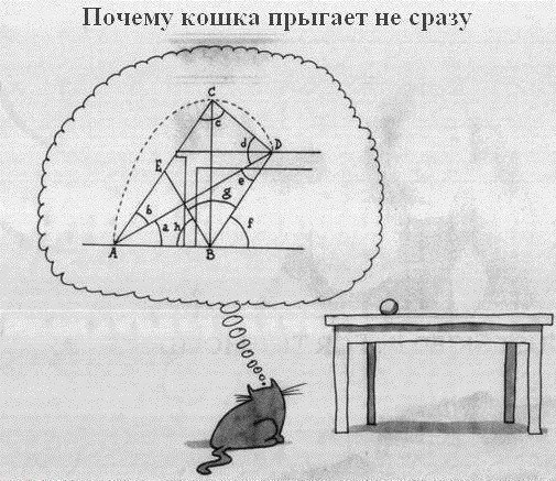 42 картиночки с просторов необъятного Интернета